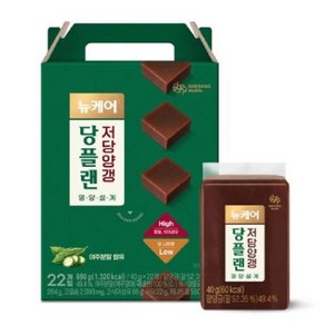 뉴케어 당플랜 저당양갱 22p, 당플랜 저당양갱 40g x 22개입, 880g, 1개