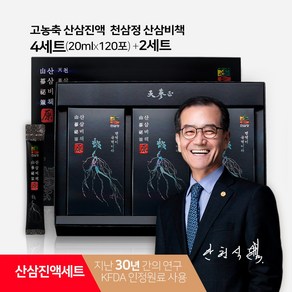 천삼정 산삼비책 WON 스틱 / 하루 1포 고농축 산삼진액 세트 식약처 인정원료 사용, 4세트, 600ml