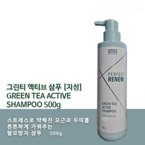 Amos_그린티액티브샴푸_지성두피용_500g, 1개, 500g