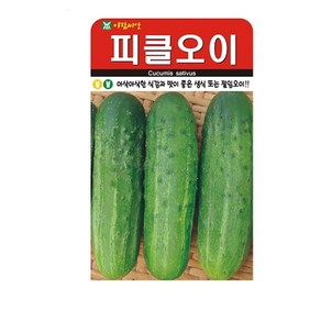 SN월드 씨앗 열매채소 과일채소 모음, 1개