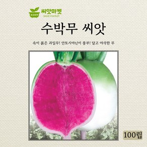 다농 수박무 씨앗 100립, 10.수박무 100립, 1개