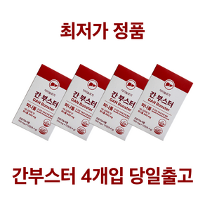 닥터놀로지 간부스터 피니톨 밀크씨슬 4박스 700mg x 48정, 4개, 12정