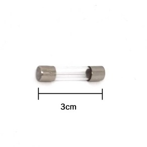 2A 유리관휴즈(중) 3cm 30mm 퓨즈 FUSE 10개세트, 10개