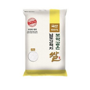 대한농산 2024년산 햅쌀 보약같은 남도간척지쌀, 2kg, 1개