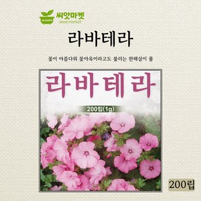 다농 라바테라 씨앗 200립, 1개