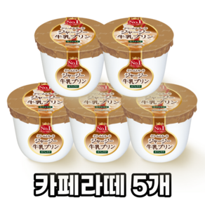 오하요 쟈지푸딩 카페라떼 115g 5개