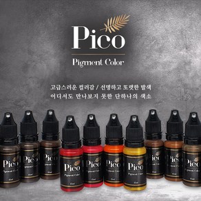 피코 Pico 반영구화장 색소 15ml 22종 머신 엠보 수지 겸용색소, 1개, 그레이