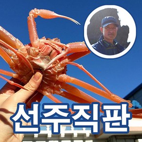 [만성호 선주직송] 가성비 연지홍게 4kg 자숙 포항 구룡포 다리수율보장 B급 비품 라면용, 1개