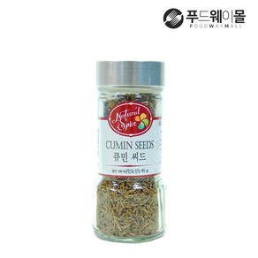 내츄럴스파이스 큐민 씨드, 45g, 1개