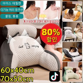 [초특가]쿨링 아이스빈 대형 쿠션 요추방석 아주 편안한 냉감 쿠션 기온을 내려주는 쿨링 허리받침대 60x40cm/70x50cm, [2개입] 공룡+코기