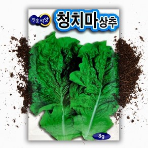 진흥 청치마 상추씨앗 (8g), 1개