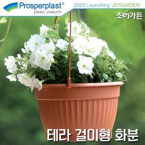 [조이가든] Prosperplast 테라 걸이형 화분