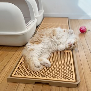 요기펫 고양이 사막화방지 매트, 1개