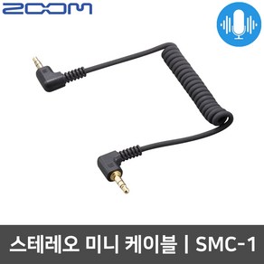 ZOOM SMC-1 DSLR용 스테레오 미니 케이블, 1개