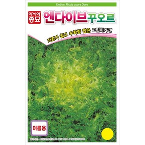 아시아종묘 씨앗 치커리 꾸오르 1500립 3ea 엔다이브, 3개