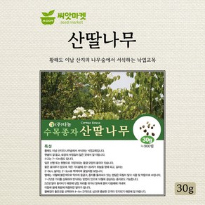 다농 산딸나무씨앗 30g, 1개