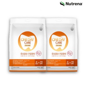 원데이케어 덴탈껌 12p, 15g, 24개, 유산균