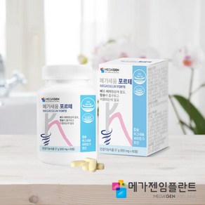 메가세움 포르테 치아 뼈 형성에 필요한 칼슘 건강기능식품, 60정, 1개