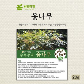 다농 옻나무 씨앗 20g, 1개