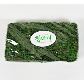 분갈이 화분 테코레이션 청이끼 150g