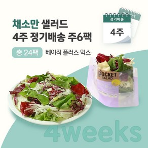 [포켓샐러드] 채소만 샐러드 4주 정기배송 (베이직 플러스 믹스 ), 100g, 24개