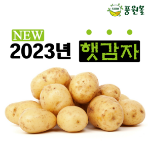 포슬포슬 가정용저장감자 5kg 10kg