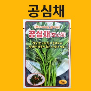 농사친구 공심채 10g 씨앗 동원 씨 종자 쪽파 고사리 명이나물 산상추 초당옥수수 항암배추 담배 산마늘 아스파라거스 고수, 1개