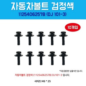 카박사 DJ101-3 자동차볼트 1125406257B 검정색 10개입 보도 볼트너트, 10개