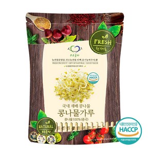 푸른들판 콩나물 가루 분말 haccp 인증, 500g, 1개