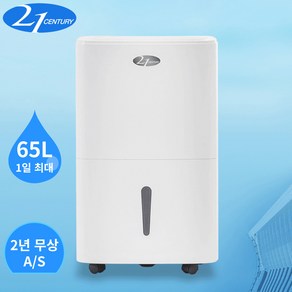 21센추리 산업용 업소용 대용량 제습기 일일제습 65L 85L 110L CDH-065P CDH-085 CDH-110P (R), CDH-065P 로즈비 R