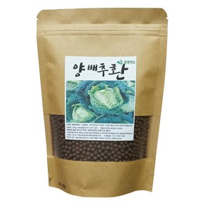 청명약초 양배추환골드(300g)-국내산, 1개, 300g