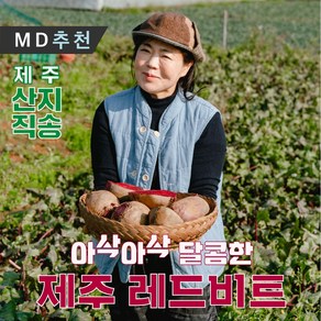 제주 햇 레드비트 산지직송 5kg 10kg 특품, 못난이 레드비트 10kg, 1박스