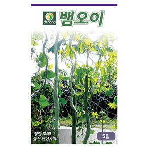 사두오이씨앗 (뱀오이) 5립 10립 사두오이모종 예약판매, 씨앗10립, 1개