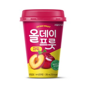 서울우유 올데이프룻 자두 250ml × 10입, 10개