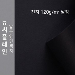 뉴씨플레인 종이문화 얇은 양면색지 120g 전지 낱장 1매 No.47 검정색, 1장