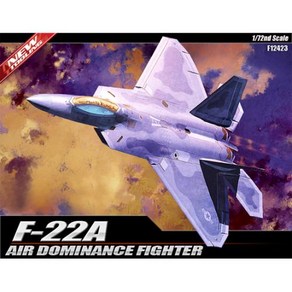 아카데미과학 12423 1/72 미공군 F-22A 랩터, 1개