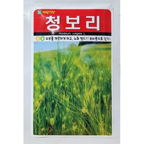 청보리씨앗 20g 24년 쌈채소씨앗, 1개