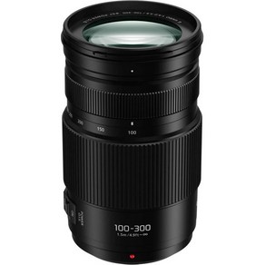 파나소닉 LUMIX G II 바리오 렌즈 100300MM 미러리스 마이크로 43 파워 O.I.S HFSA100300 USA 블랙