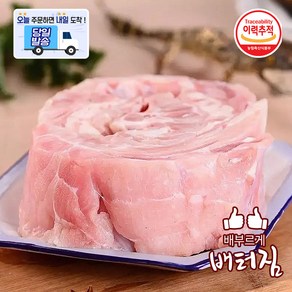 (당일출돼지) 보신용 특미 악어고기 (순살) 꼬치용 숯불구이, 1개