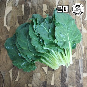 당일작업 국내산 근대, 200g, 1개