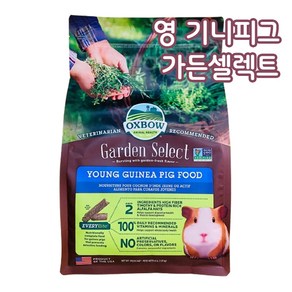 OXBOW 옥스보우 가든셀렉트 영 기니피그 사료 어린기니피그사료 임신수유기니피그사료, 1.81kg, 1개