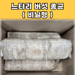 [ 2025년 ] 모두다팜 느타리버섯종균 버섯종균 배지 키우기 느타리 버섯종자 비닐형, 3kg, 1개