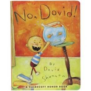 No David! : BOARDBOOK, Blue Sky Pess (AZ)