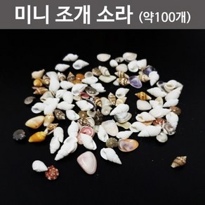 미니 조개 소라세트(약100개)-만들기키트, 1세트