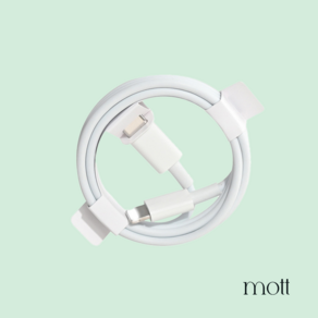 모트 USB C to 라이트닝 8핀 고속충전 케이블, 27w, 2개, 2m