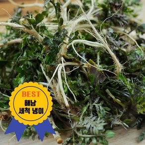 제철 해남 세척 냉이 향긋한 봄나물 깨끗하게 세척된 냉이 손질 냉이, 500g, 1개, 500g