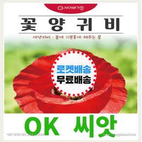 [OK씨앗] [꽃양귀비꽃] 양귀비씨앗 종자(오케이씨앗), 1개