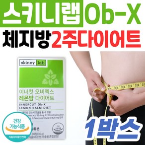 스키니랩 레몬밤 다이어트 2주 단기간 내장지방 감소 건강기능식품 식약처인증 보조제 영양제 멜리사 상엽 인진쑥 추출물 혼합 분말 기능성 GMP 체지방 엄마 아빠 특허 원료 부모님