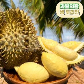 [프리미엄] 태국 생 두리안 항공직송, 1개, 1.5kg~2kg내외(1~2수)