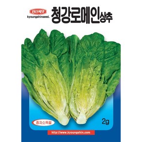 (씨앗) 청강로메인 상추 - 아삭한 맛이 좋은 녹색 잎의 로메인 상추 씨앗 - 2g, 1개